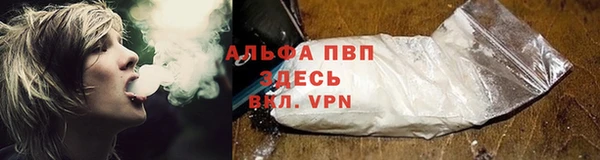 spice Аркадак