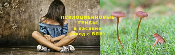 дживик Армянск