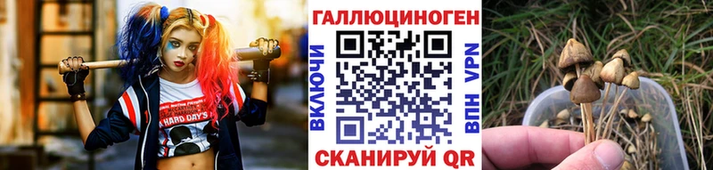 Галлюциногенные грибы прущие грибы  Новый Оскол 